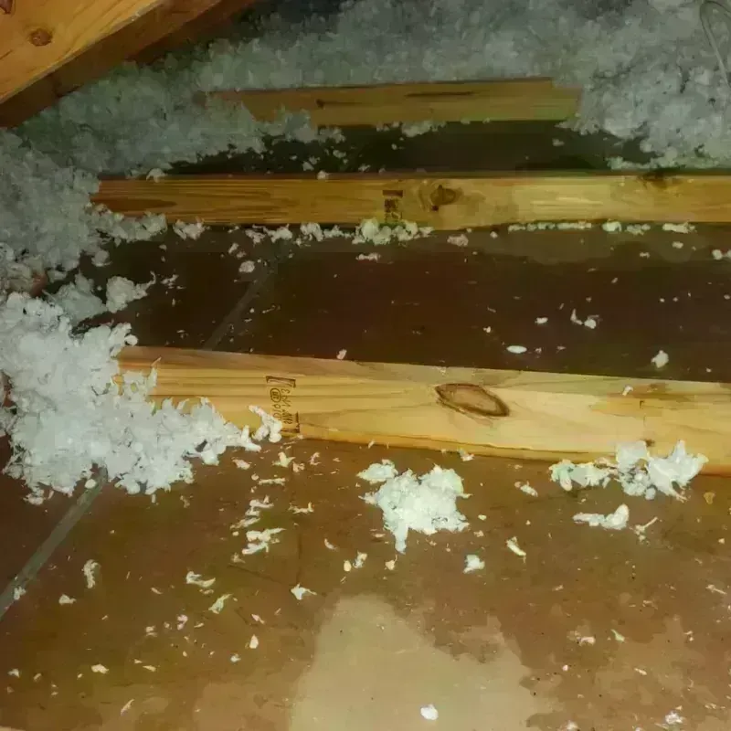 Attic Water Damage in Harbor, OR