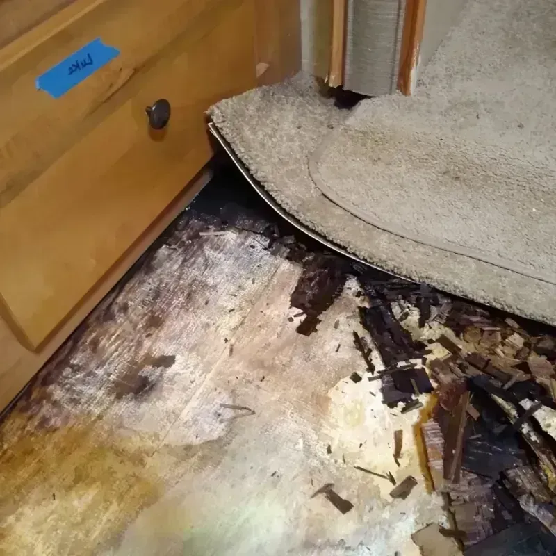 Wood Floor Water Damage in Harbor, OR